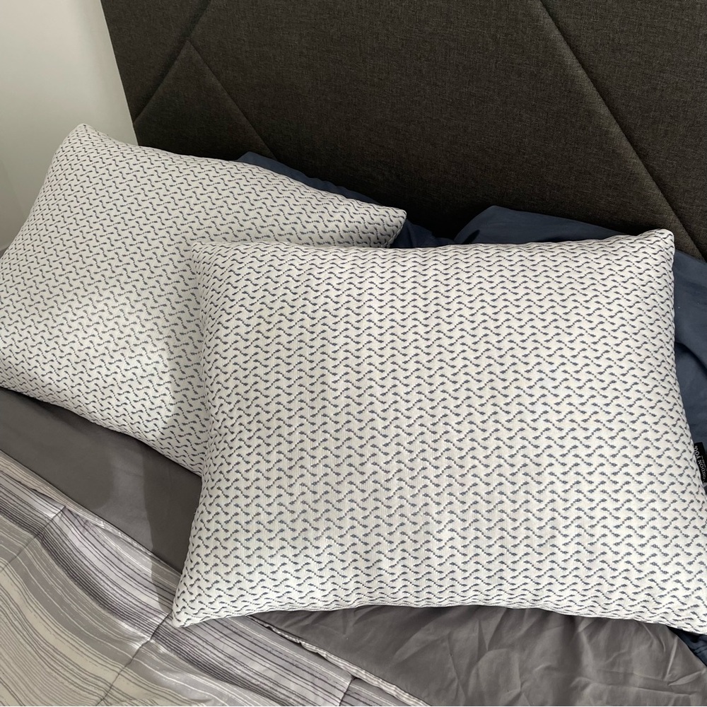 2pcs/ Queen Size London Fog Memory Foam Pillow
